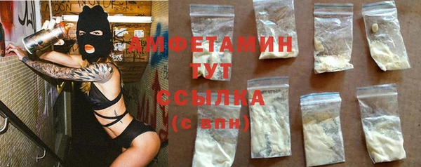 дживик Богородицк