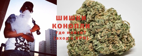 дживик Богородицк
