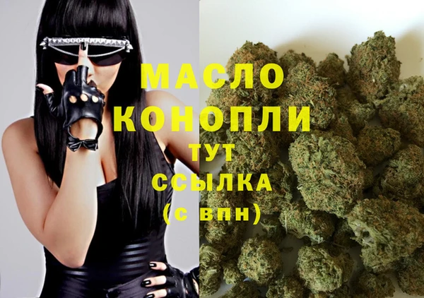 дживик Богородицк