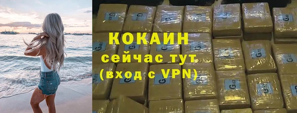 дживик Богородицк